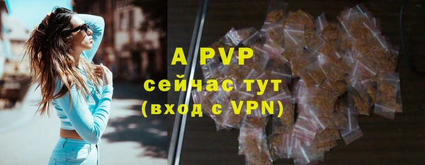 метадон Богданович