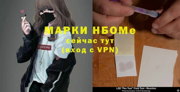 хмурый Богородск
