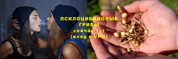 хмурый Богородск