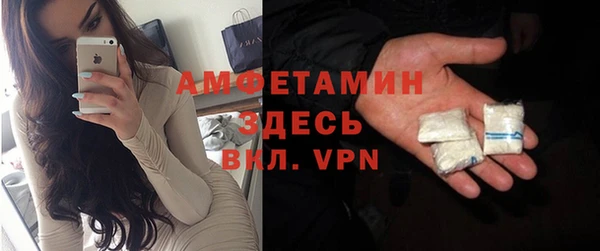 метадон Богданович