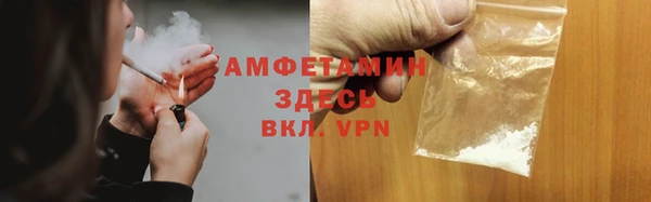 метадон Богданович
