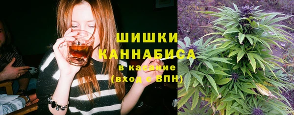 амф Богородицк