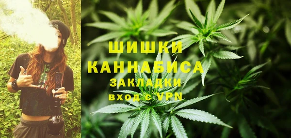 хмурый Богородск