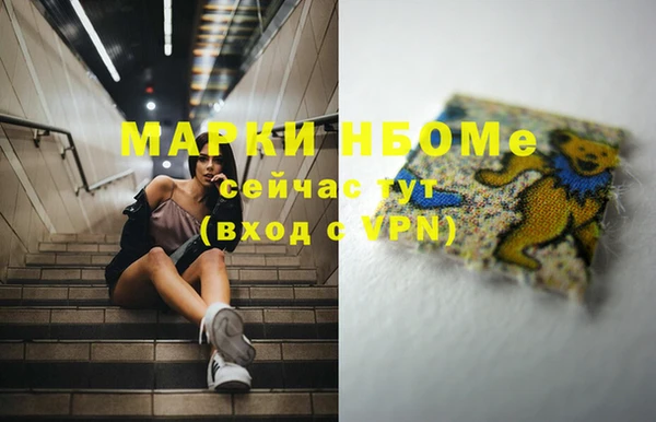 метадон Богданович
