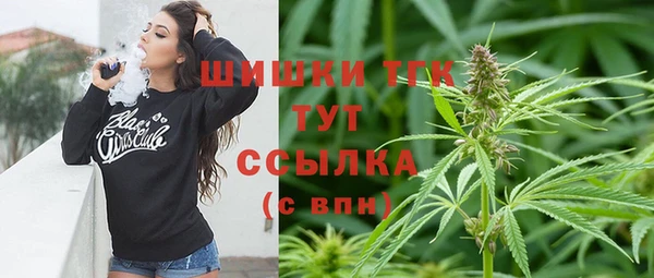 хмурый Богородск
