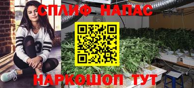 дмт Лесной