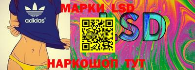 дмт Лесной