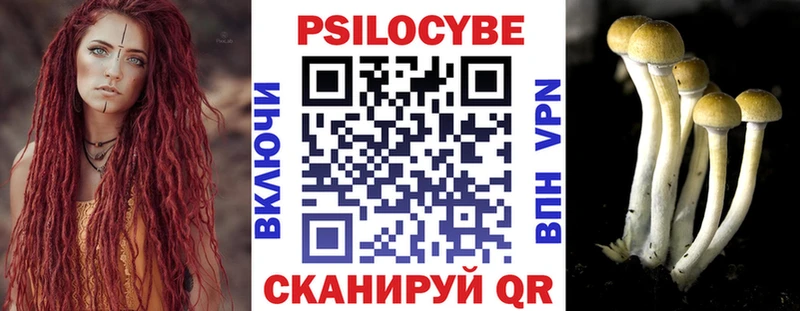 цена   Бутурлиновка  Галлюциногенные грибы прущие грибы 